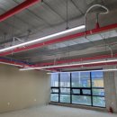 유림3호 이미지