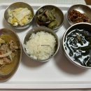 마미캐티 이미지