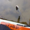 행암낚시터 이미지