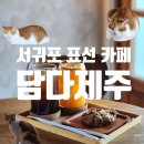 크린에이드제주표선점 | 제주 서귀포 표선 분위기 좋은 카페 담다제주