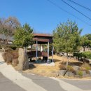 하일할머니 이미지