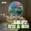 (주)다모아산업 | (5월 2주) 이번 주도 성수동에 출근합니다~ (스니커...분더캄머, 도매, 다모아마켓, 폴키)성수 팝업스토어