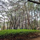 제26호 어린이공원 이미지