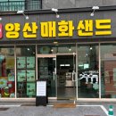 양산매화샌드