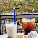 이디야 데못죽 콜라보 매장 세트 구성 정보 포카 후기