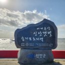 섬바위 가든 | 신안군 여행, 만발한 애기동백꽃의 향연, 그리고 그림같은 분재, "1004 섬 분재정원"