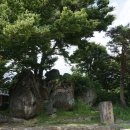 명당의 향기 이미지