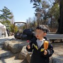 신기팜스테이빌리지 | 대구꽃축제 대구매화 찾는다면 네이처파크~!!