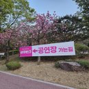 경희대기흥체육관 이미지