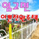 임고면행정복지센터 이미지