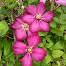 NR-15[우주로]-하-203 | 도·단 (도와 단 수련의 길잡이)