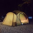 용인랜드 숲속캠핑장 이미지