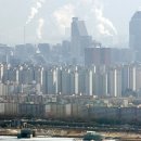 강남-210 이미지