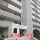 샛별마을동성아파트 | 경기 성남시 분당구 샛별마을 동성아파트 외부창틀누수 실리콘보수작업 후기