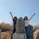 도계시장 | 창원 천주산 진달래,도계시장 원조찹쌀순대촌 뒤늦은 후기