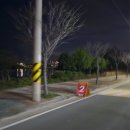 사천시 특별교통수단 | 노을이 수놓은 금빛 코스, 2025년 사천노을마라톤 하프 코스 정경, 참가 후기