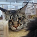 쿤이네집 이미지