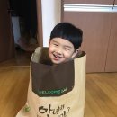 종비몰