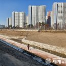 삼미천 이미지