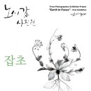 닥터해빗김미정소아청소년과의원 이미지