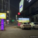 용인 펫막스 로얄테일즈 플로렌스 강아지 유모차 개모차 시승 및 구매 후기