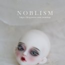 노블리즘 이미지