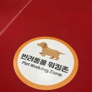 2024 메가주 일산(하) | 케이펫페어 펫박람회 첫째날 후기