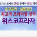 위스코 네이버블로그