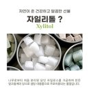 미듬 영농조합법인 자일리톨 스톤 선물 받은 후기