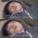 차카니냥이 밤이