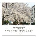 대구벚꽃명소 :: 이월드벚꽃 용연사벚꽃길 도원고벚꽃 상인동벚꽃 용연사밤벚꽃