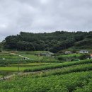 팔봉초등학교 이미지