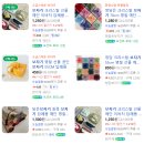 엄궁 | 부산 상견례 선물 추천 호접란｜엄궁화훼단지 내돈내산 방문 후기 + 가격 정보