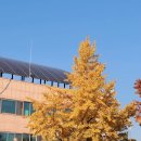 씨유 청주서원구청점 | 여권 만료 후 재발급 소요기간 비용 준비물 서원구청 수령 온라인으로 쉽게하자