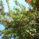 맛.보이소 이미지