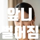 심미