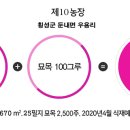 황금농장 이미지