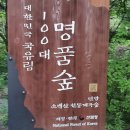초방2구경로당 | 단양펜션 1박 2일 코스 후기(소백산 백숙 맛집 계곡 샬롬펜션)