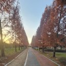 더리터 완주고산점 | 완주 고산파크골프장 36홀 대변신! 🌳 제1구장 챌린지 vs 제2구장 힐링 라운드 후기!