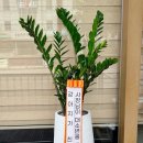 상도그 검암점 이미지