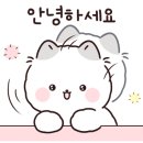 슈슈뷰티(Beauty)