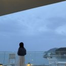 안경볼래 이미지