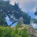 115호공원 이미지