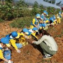 육성농장 이미지