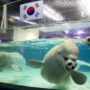 제기수족관