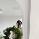 원데이오프 | [내돈내산] 목포하당 꽃집 “비오프” 원데이클래스 후기