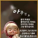오늘도 내일도 - 고흥군 | 오늘도 내일도