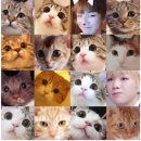I wonder if Daniel slept well today 이미지