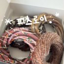 명덕삼거리 앞 | 대구 도너츠 피츠로이 명덕역 살살 녹는 츄러스도넛 당 충전 최고