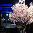 스고이오뎅 이미지